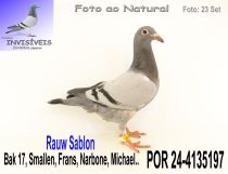 POR 24-4135197